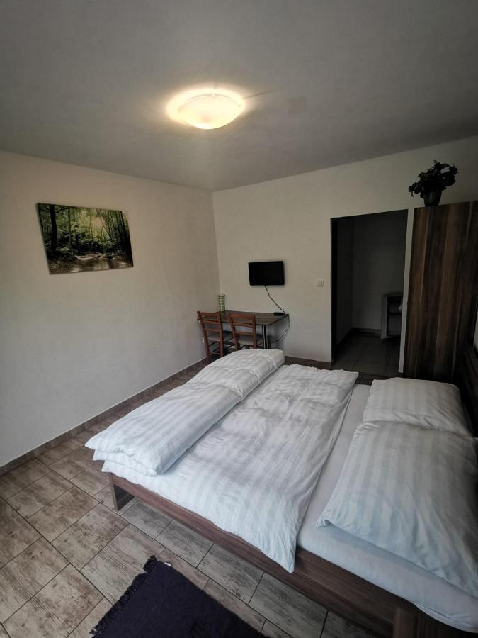 Apartmany Pod Landstejnem Stare Mesto  Exteriör bild
